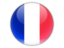 French flag