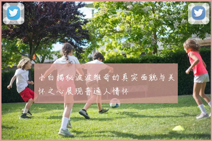 小白揭秘波波维奇的真实面貌与关怀之心展现普通人情怀